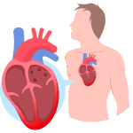 Cardiac Arrest & Stroke Management