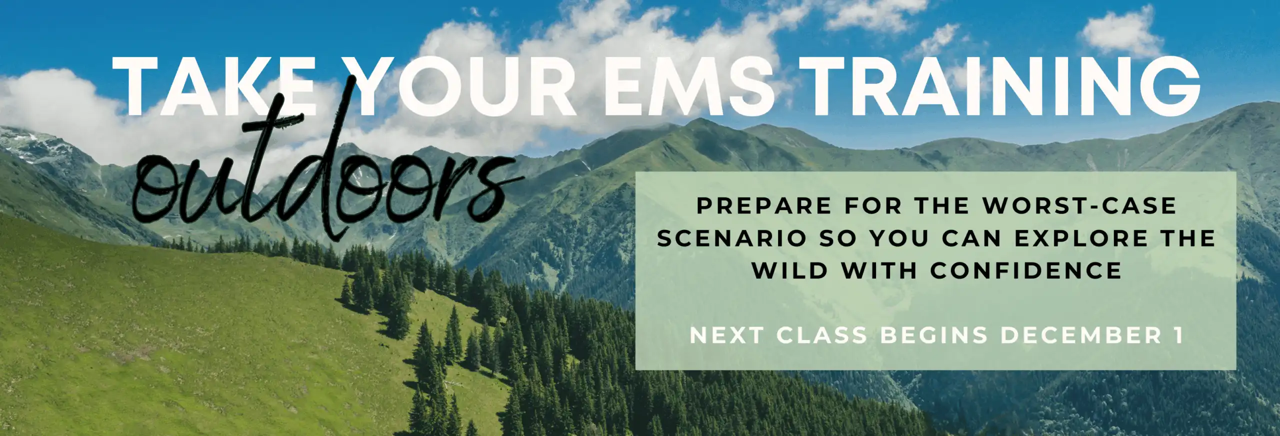 WFA-Home-Page-scaled